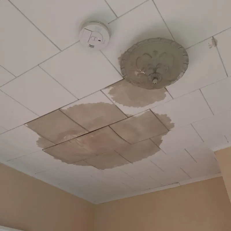 Ceiling Water Damage Repair in Prince William County, VA