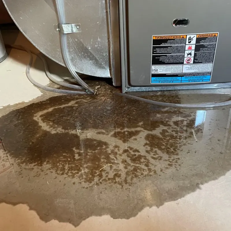 Pipe Burst and Leak Restoration in Prince William County, VA