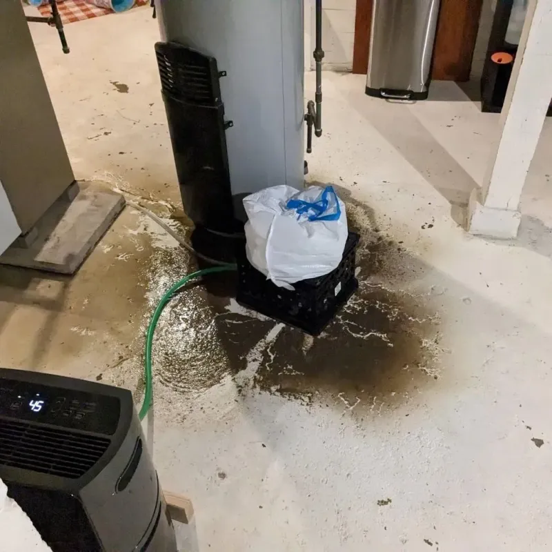 Sewage Backup Cleanup Service in Prince William County, VA